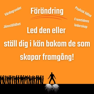 Tomas Enhager 11380