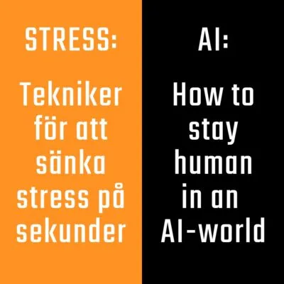 Emil Grabow Föreläsning om Stress Föreläsning AI 15681