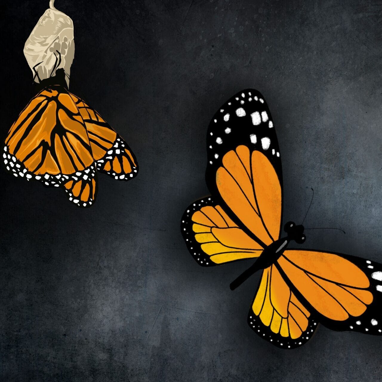 Vecka 7 Självkänsla Release (1)