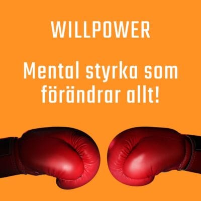 Daniel donlind föreläsning om mental styrka 15673