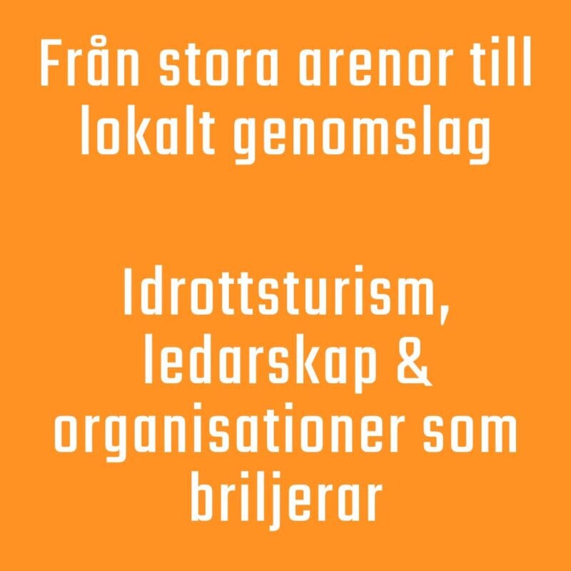 Johan Göransson föreläsning ledarskap, drott och organisation